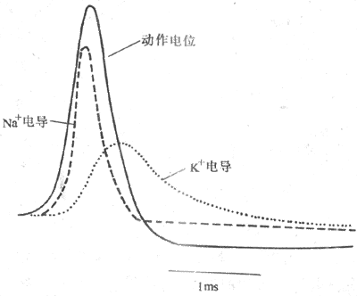 �絼�仯���λ�仯�Ĺ�ϵʾ��ͼ