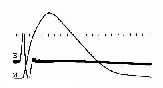 è��ǰ���ĵȳ�����������