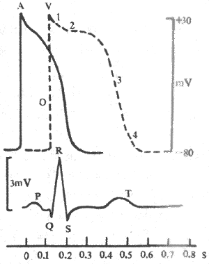 �ļ�ϸ����仯�����볣���ĵ�ͼ�ıȽ�