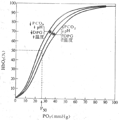 Ӱ����������λ�õ���Ҫ����