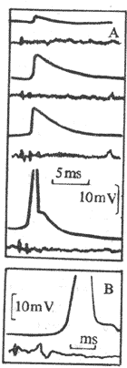 �˷���ͻ�����λ