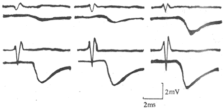 ������ͻ�����λ