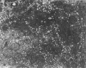 ��ϸ�������������������������