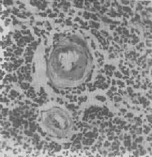 Ƣ���붯����������