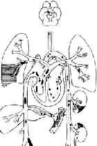 ˨������;����ģʽͼ