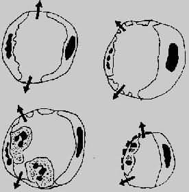 Ѫ��ͨ͸�����ӵ����ֻ���ģʽͼ