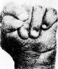 ��Edwards���ۺ����ļ���������