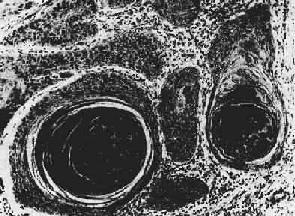 ��״ϸ��<a href=