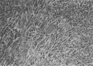 ��ά��<a href=