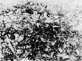 ��չ�е���ά�����߿�