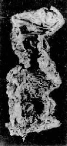 �᳦�����Գ���