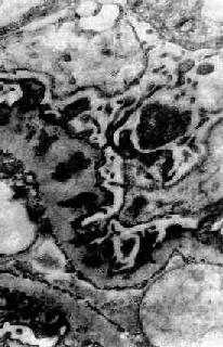 Ĥ����С������