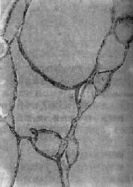 �ط��Լ�״����