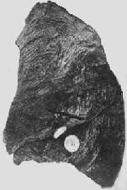 ���ڸƻ��ķν��ԭ����