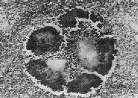 ���߾���